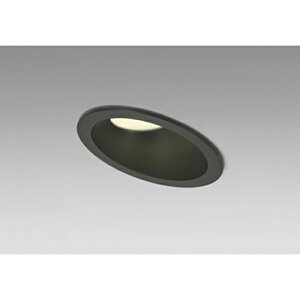 �I�[�f���b�N�@�_�E�����C�g LC-CHANGE three ���M����� 100W ������100 �X�ΓV��p�@�u���b�N�@�y�i�ԁFOD 361 343R�z