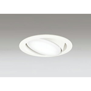 �I�[�f���b�N�@�_�E�����C�g GX53 �g�U�z�� FHT 24W ������125 ���j�o�[�T�� �񒲌� �����F�@�I�t�z���C�g�@�y�i�ԁFOD 361 361NR�z