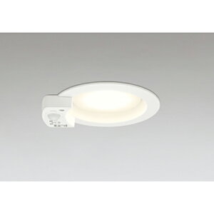 I[fbN@_ECg GX53 lZT[t M 100W 100 񒲌 dF@ItzCg@yiԁFOD 361 411LRz