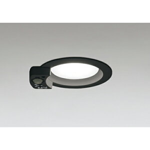 I[fbN@_ECg GX53 lZT[t M 100W 100 񒲌 F@ubN@yiԁFOD 361 412WRz