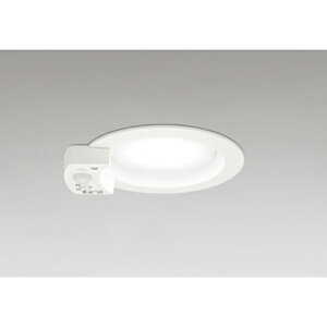 I[fbN@_ECg GX53 lZT[t M 60W 100 񒲌 F@ItzCg@yiԁFOD 361 413WRz