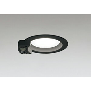 I[fbN@_ECg GX53 lZT[t M 60W 100 񒲌 F@ubN@yiԁFOD 361 414NRz