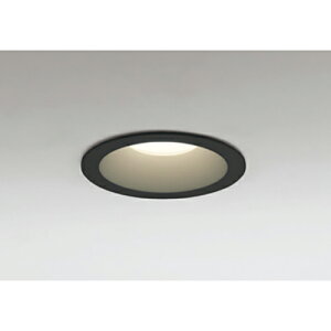 �I�[�f���b�N�@�o�X���[�����C�g�E�E�ߏꃉ�C�g LED��̌^ ������100 �񒲌� �d���F�@�u���b�N�@�y�i�ԁFOD 361 478R�z