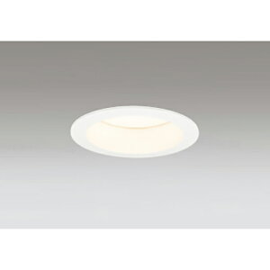 �I�[�f���b�N�@�_�E�����C�g QSERIES FHT 24W ������100 �g�U�z�� �A������ �d���F�@�I�t�z���C�g�@�y�i�ԁFOD 361 490R�z