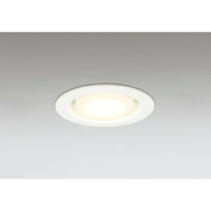 �I�[�f���b�N�@�_�E�����C�g ���ω΍\���Ή� LED�����v�����^ ���M����� 100W ������100 �x�[�X�_�E�� LC-FREE�@�I�t�z���C�g�@�y�i�ԁFOD 361 513BCR�z