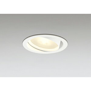 I[fbN@_ECg ω΍\Ή LEDv^ M 100W 100 jo[T ~fBAz 񒲌 dF@ItzCg@yiԁFOD 361 555MLRz