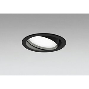 オーデリック ダウンライト 準耐火構造対応 LEDランプ交換型 白熱灯器具 100W 埋込穴100 ユニバーサル 非調光 昼白色 ブラック 【品番:OD 361 556NDR】
