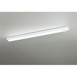 I[fbN@x[XCg LED-LINE t^ 40` lZT[t 2500lm^Cv 񒲌 F@yiԁFXL 501 060R3Az