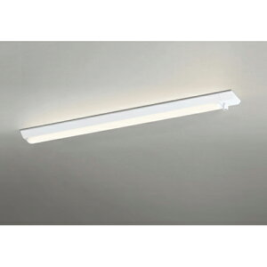 I[fbN@x[XCg LED-LINE t^ 40` lZT[t 2500lm^Cv 񒲌 dF@yiԁFXL 501 060R3Ez