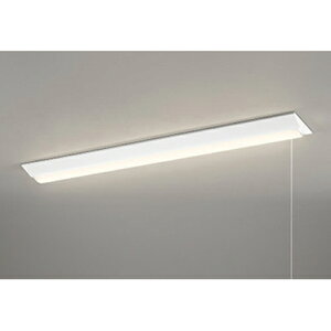 I[fbN@x[XCg LED-LINE t^ 40` txm^ 230 vXCb`t 2500lm^Cv 񒲌 dF@yiԁFXL 501 105R3Ez