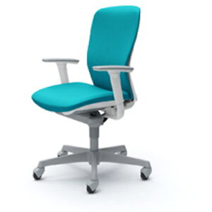 IJ@OKAMURA@X[g@nCobN@yiԁFC385XR FSG6z