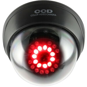 IXNGAiOnSquarej@_~[J@ԊOh[^iTjubN@yiԁFOS-168Rz