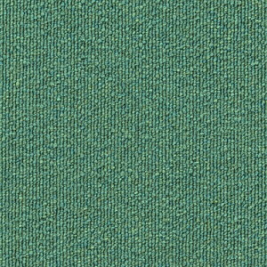 哇@^CJ[ybg@pR@n~Oo[h@50×50cm@yiԁFPAC250z