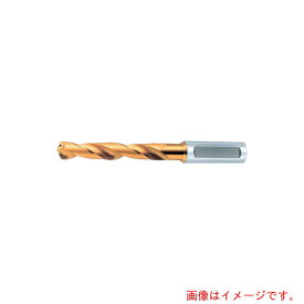 オーエスジー（OSG）　EXゴールドドリル　一般加工用油穴付きレギュラ形　64189　【品番：EX-HO-GDR-18.9】