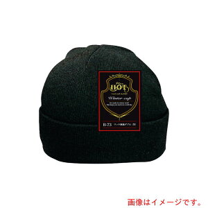 y[֑Ήzӂ܁@b`n_u@ij@@yiԁFB-73z