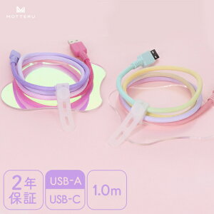 �y���[���֑Ή��z�I�E���e�b�N�iOwltech�j�@MOTTERU�@�O���f�[�V�����P�[�u���@�}���[�d�@�f�[�^�]���Ή��@USB�]A�@to�@USB�]C�@1m�@2�N�ۏ؁@�y�i�ԁFMOT-SCBACG100-SE�z