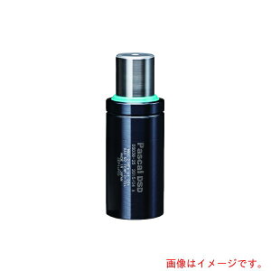 �p�X�J���iPascal�j�@�~�j�K�X�X�v�����O�@���f��DSD�@�y�i�ԁFDSD32-25-16�z