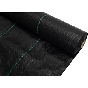 yMG[XWpipenguinacej@hV[g@1×50@yiԁFBD-150z