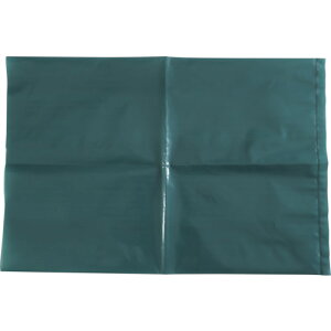 yMG[XWpipenguinacej@O[d܁@420×620 100@yiԁFGREEN POLYBAGz