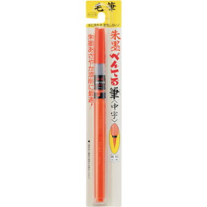 �y���[���֑Ή��z�A�X�g�����iAstrum�j�@�؂�Ă�@�p�b�N��n�M�����@�y�i�ԁFXFP9L�z