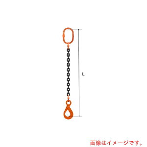 pewag�@�X�����O�`�F�[���@�V���O���i�A�C�^�C�v�j�@��^�}�X�^�[�����N�@SE2M�@6×5M�@M8W13�ELHW5�|6�@�y�i�ԁF035ZPSE2M065�z