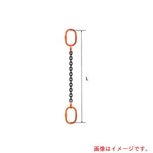 pewag�@�X�����O�`�F�[���@�V���O���i�A�C�^�C�v�j�@��^�}�X�^�[�����N�@SE6M�@5×4�D5M�@M8W10×2�@�y�i�ԁF035ZPSE6M054S5�z