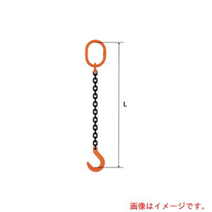 pewag�@�X�����O�`�F�[���@�V���O���i�s���^�C�v�j�@SP5M�@10×5�D5M�@�y�i�ԁF035ZPSP5M105S5�z