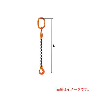 pewag�@�X�����O�`�F�[���@�V���O���i�s���^�C�v�j�@S�|SP1R�@8×5�D5M�@�y�i�ԁF035ZPSSP1R0855�z