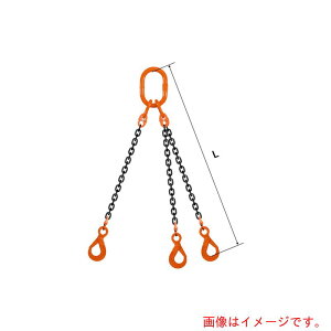 �y�ʓr��������zpewag�@�X�����O�`�F�[���@�g���v���i�A�C�^�C�v�j�@��^�}�X�^�[�����N�@TE2M�@16×2M�@VMW16�ELHW16�@�y�i�ԁF035ZPTE2M162�z