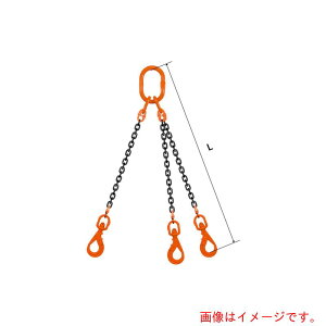 �y�ʓr��������zpewag�@�X�����O�`�F�[���@�g���v���i�A�C�^�C�v�j�@��^�}�X�^�[�����N�@TE3M�@16×1�D5M�@VMW16�EWLHW16�@�y�i�ԁF035ZPTE3M161S5�z