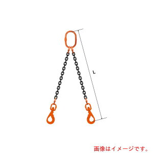 pewag�@�X�����O�`�F�[���@�_�u���i�A�C�^�C�v�j�@WE3�@8×5�D5M�@�y�i�ԁF035ZPWE3085S5�z