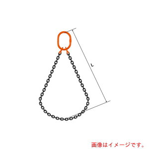 �y�ʓr��������zpewag�@�X�����O�`�F�[���@�_�u���i�s���^�C�v�j�@WP6M�@16×4�D5M�@�y�i�ԁF035ZPWP6M164S5�z