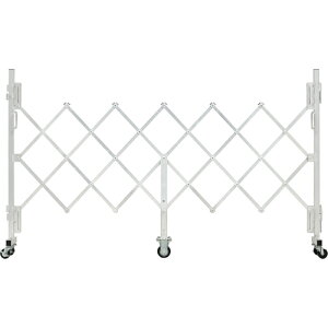 yʓrzsJR[|CViPiCaj@oP[htFX@ȈՃA~LX^[Q[g@Vo[@S2289mm@yiԁFGTO-20z