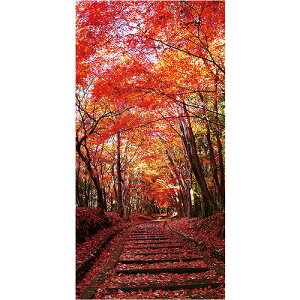 �y�ʓr��������z�A���t�@�@�|�b�v�M�������[�@���݂����؃^�y�X�g���[�i�h�����H�jH1800�@×�@W900�@�y�i�ԁFTC4-0056�z