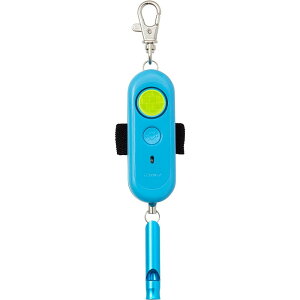 CC@drhƃuU[@u[@yiԁFEBB172Az