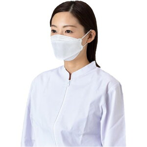 [u@oA[u@̌^T[WJ}XNzCg@40@yiԁFNO.2875Wz