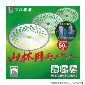 A[Xv@`bv\[@Rїpvij Oa230mm×50P@yiԁFRJ-0002z