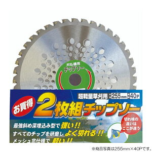 �A�[���X�v�����@�����`�b�v�\�[�@2������`�b�v�\�[�i�ܓ���j �O�a230mm×����36P�@�y�i�ԁFRC-5034�z