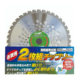 �A�[���X�v�����@�����`�b�v�\�[�@2������`�b�v�\�[�i�ܓ���j �O�a255mm×����40P�@�y�i�ԁFRC-5035�z