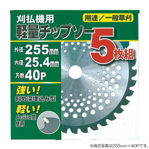 �A�[���X�v�����@�����`�b�v�\�[�@5������`�b�v�\�[�i������j �O�a230mm×����36P�@�y�i�ԁFRC-5036�z