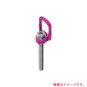 RUD Ketten Rieger & Dietz�@���[�h�����O�v���X�����O�{���g�@VLBG�|PLUS�|M16L�@�y�i�ԁFVLBG-PLUS-M16L�z