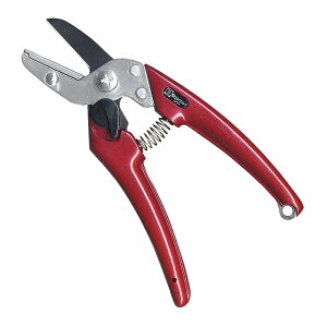 T{e@GNZgfB[X ؁@JVXbh@yiԁFEX-8z