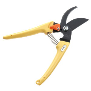 T{e@fB[X@CG[@yiԁF1201-Yz