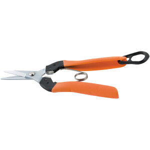 y[֑ΉzT{e@p Einj@IW@yiԁFAG-7Lz