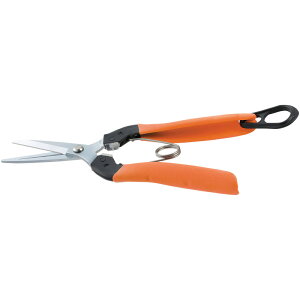 T{e@p inj@IW@yiԁFAG-8Lz