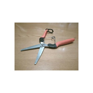 T{e@p @IW@yiԁFAG-10Lz