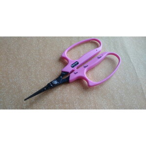 T{e@Ԃǂnh  n@sN@yiԁFB-6MBz