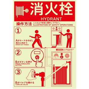 Z[tSpiiSAFERUNj@ΐgp@~XebJ[@254x356mm@yiԁFJ2549-SMz