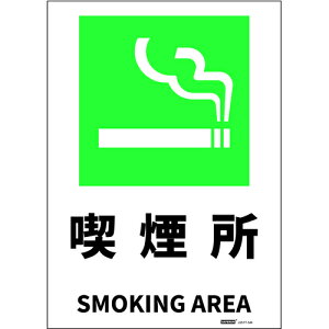 Z[tSpiiSAFERUNj@JISKiSWXebJ[@MTCY@i@254x356@yiԁFJ2577-SMz