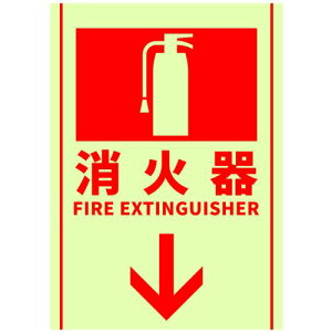 Z[tSpiiSAFERUNj@Ί\~XebJ[@Ί큫@254x356mm@yiԁFJ2593-SMz